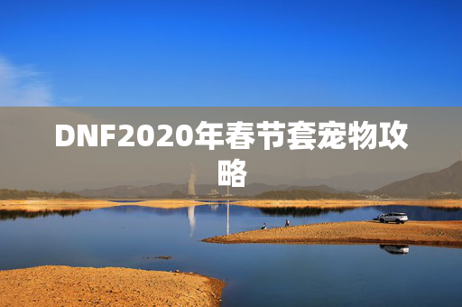 DNF2020年春节套宠物攻略