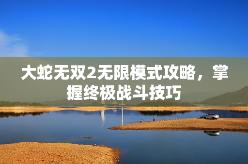大蛇无双2无限模式攻略,掌握终极战斗技巧 大蛇无双2无限模式攻略,掌握终极战斗技巧