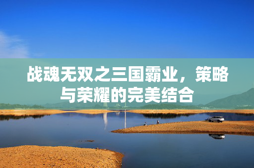 战魂无双之三国霸业，策略与荣耀的完美结合