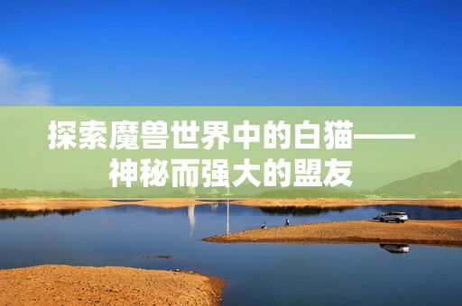 探索魔兽世界中的白猫——神秘而强大的盟友
