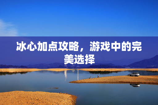 冰心加点攻略，游戏中的完美选择