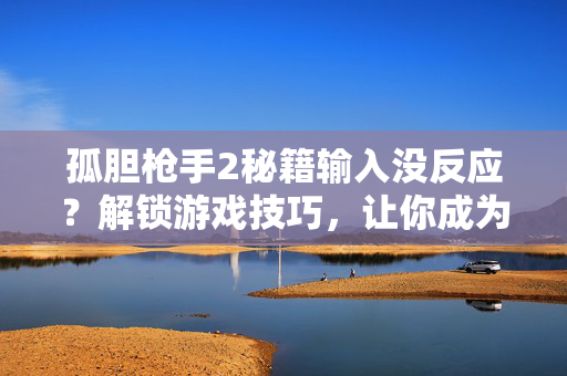 孤胆枪手2秘籍输入没反应？解锁游戏技巧，让你成为真正的孤胆枪手！