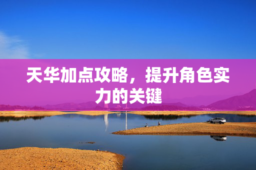 天华加点攻略，提升角色实力的关键