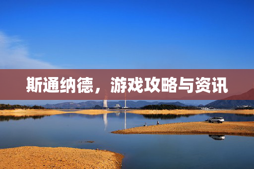 斯通纳德,游戏攻略与资讯 斯通纳德,游戏攻略与资讯