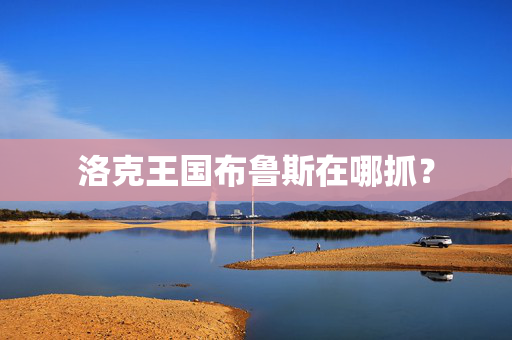 洛克王国布鲁斯在哪抓？