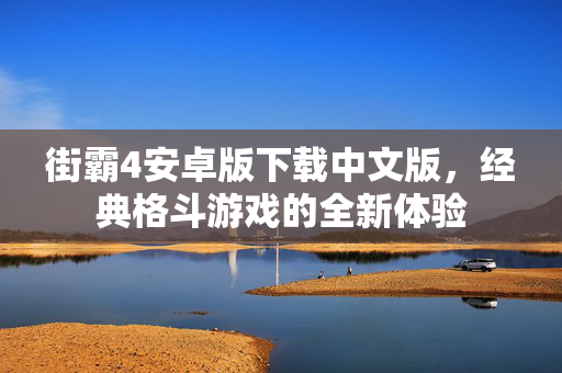 街霸4安卓版下载中文版，经典格斗游戏的全新体验