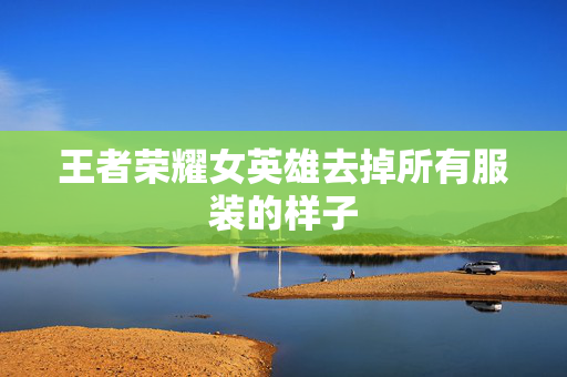 王者荣耀女英雄去掉所有服装的样子