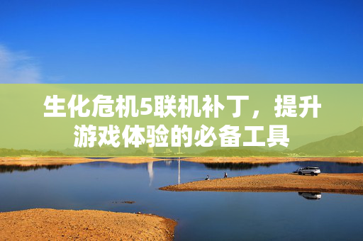 生化危机5联机补丁，提升游戏体验的必备工具