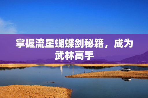 掌握流星蝴蝶剑秘籍，成为武林高手