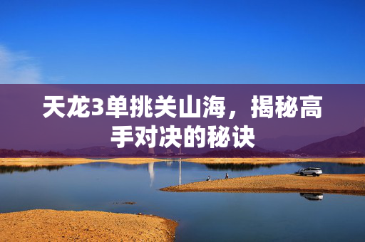 天龙3单挑关山海，揭秘高手对决的秘诀