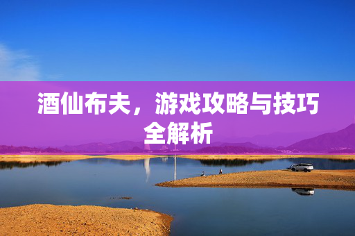 酒仙布夫，游戏攻略与技巧全解析