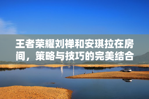 王者荣耀刘禅和安琪拉在房间,策略与技巧的完美结合 王者荣耀刘禅和安琪拉在房间,策略与技巧的完美结合