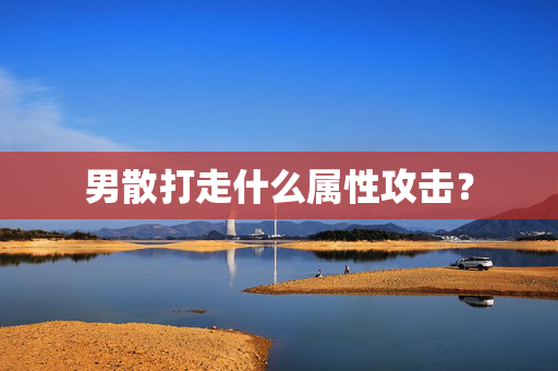 男散打走什么属性攻击？