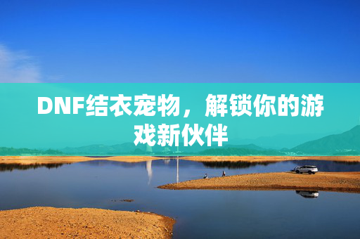 DNF结衣宠物，解锁你的游戏新伙伴