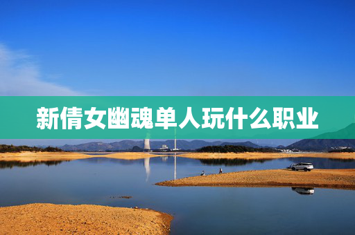新倩女幽魂单人玩什么职业