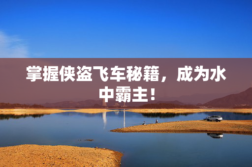 掌握侠盗飞车秘籍，成为水中霸主！