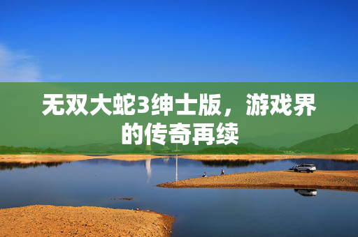 无双大蛇3绅士版，游戏界的传奇再续
