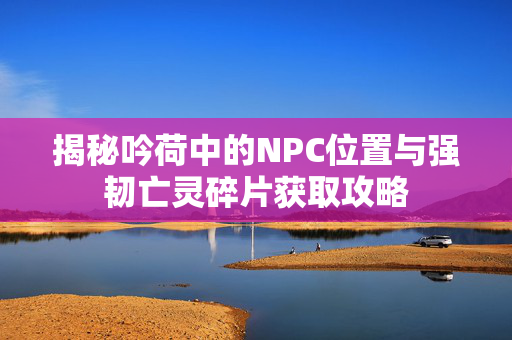 揭秘吟荷中的NPC位置与强韧亡灵碎片获取攻略