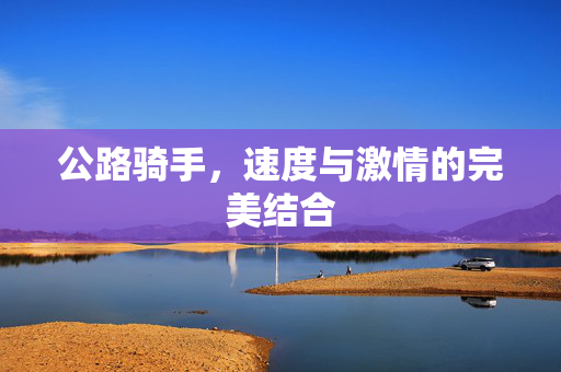 公路骑手,速度与激情的完美结合 公路骑手,速度与激情的完美结合