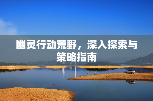 幽灵行动荒野，深入探索与策略指南