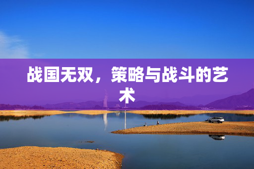 战国无双，策略与战斗的艺术