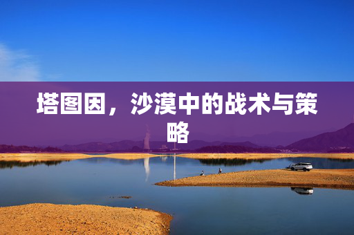 塔图因,沙漠中的战术与策略 塔图因,沙漠中的战术与策略