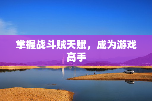 掌握战斗贼天赋,成为游戏高手 掌握战斗贼天赋,成为游戏高手