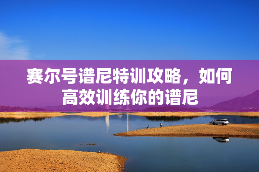 赛尔号谱尼特训攻略，如何高效训练你的谱尼