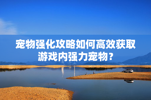 宠物强化攻略如何高效获取游戏内强力宠物？