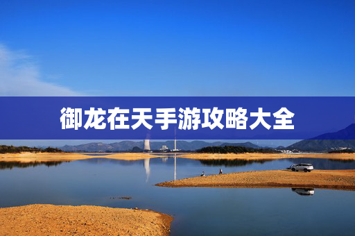 御龙在天手游攻略大全