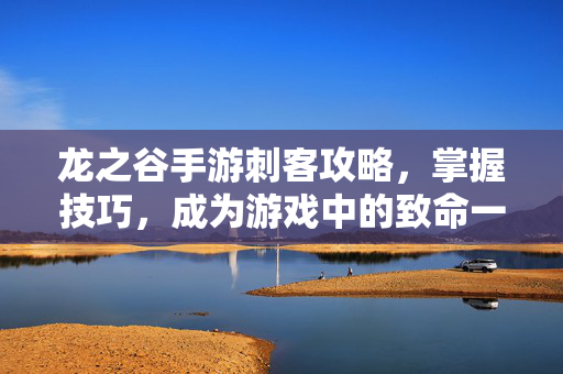 龙之谷手游刺客攻略，掌握技巧，成为游戏中的致命一击