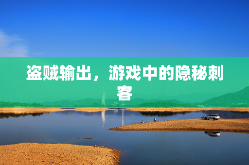 盗贼输出,游戏中的隐秘刺客 盗贼输出,游戏中的隐秘刺客