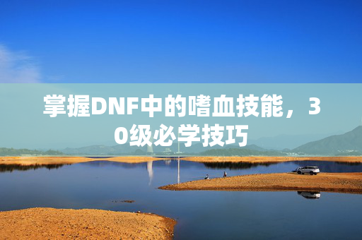 掌握DNF中的嗜血技能，30级必学技巧