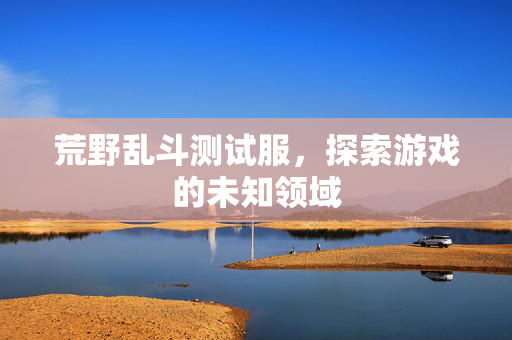荒野乱斗测试服，探索游戏的未知领域