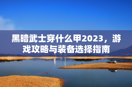 黑暗武士穿什么甲2023，游戏攻略与装备选择指南