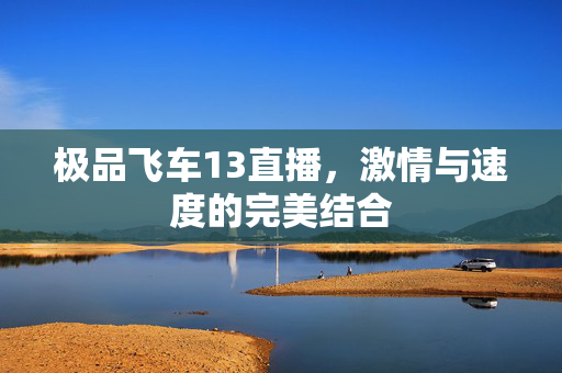 极品飞车13直播,激情与速度的完美结合 极品飞车13直播,激情与速度的完美结合