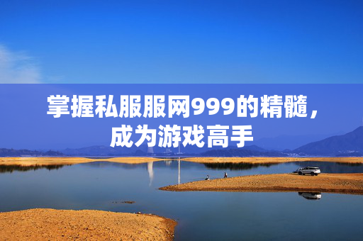 掌握私服服网999的精髓，成为游戏高手