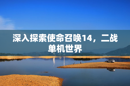 深入探索使命召唤14，二战单机世界