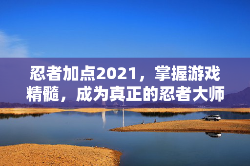 忍者加点2021，掌握游戏精髓，成为真正的忍者大师