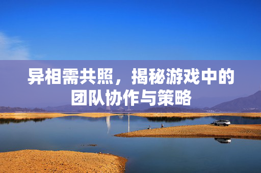 异相需共照，揭秘游戏中的团队协作与策略