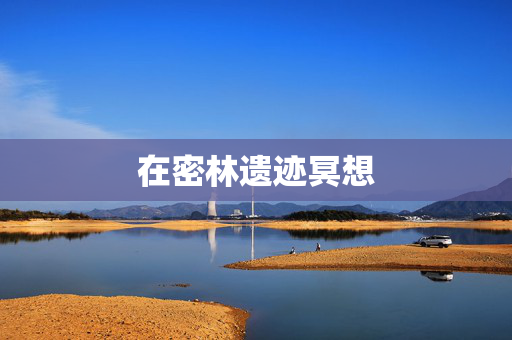 在密林遗迹冥想