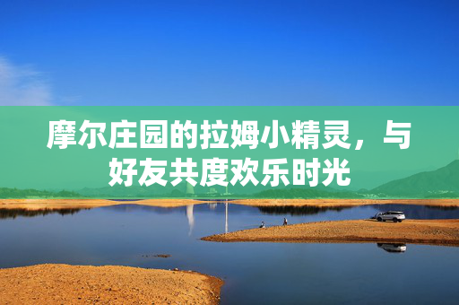摩尔庄园的拉姆小精灵，与好友共度欢乐时光