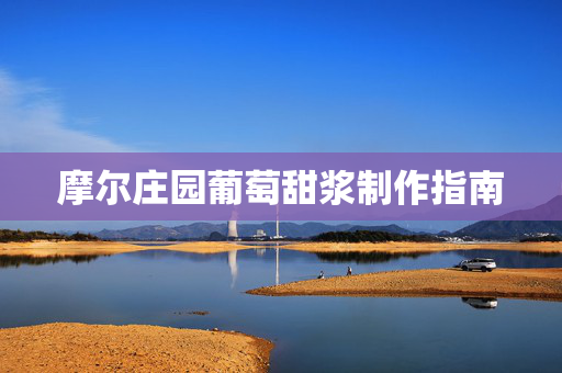 摩尔庄园葡萄甜浆制作指南 摩尔庄园葡萄甜浆制作指南