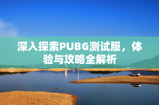 深入探索PUBG测试服，体验与攻略全解析