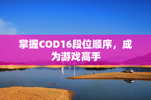 掌握COD16段位顺序，成为游戏高手