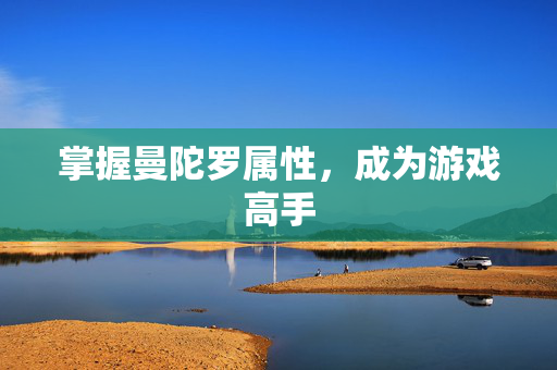 掌握曼陀罗属性，成为游戏高手