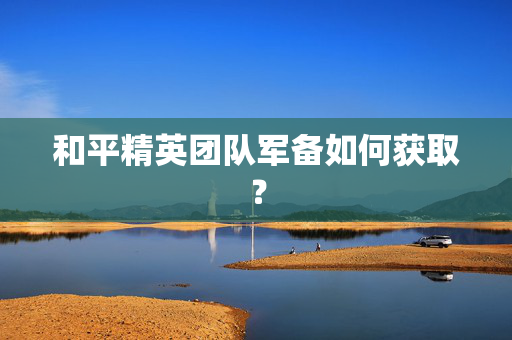 和平精英团队军备如何获取？