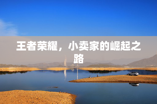 王者荣耀，小卖家的崛起之路
