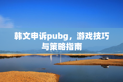 韩文申诉pubg，游戏技巧与策略指南