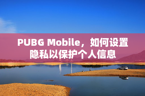 PUBG Mobile，如何设置隐私以保护个人信息